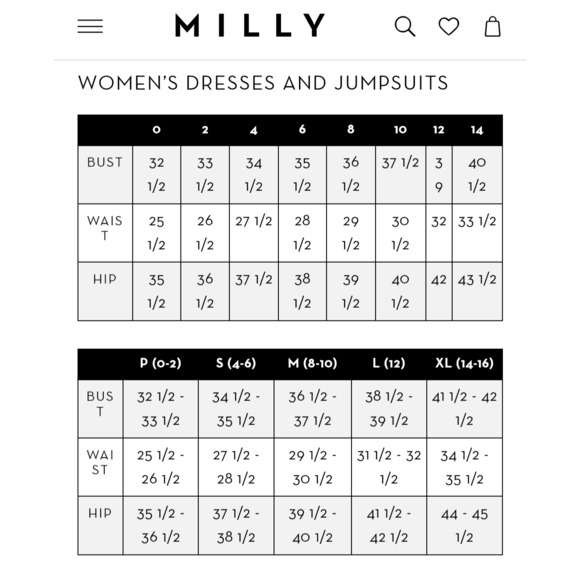 Milly Hannah Embroidered Floral Sleeveless Mini Dress (Altered) - Picture 11 of 11